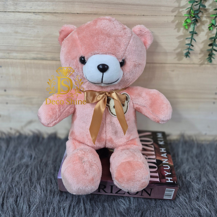 عروسک خرس پارچه ای 40 سانت پایون دار اورجینال