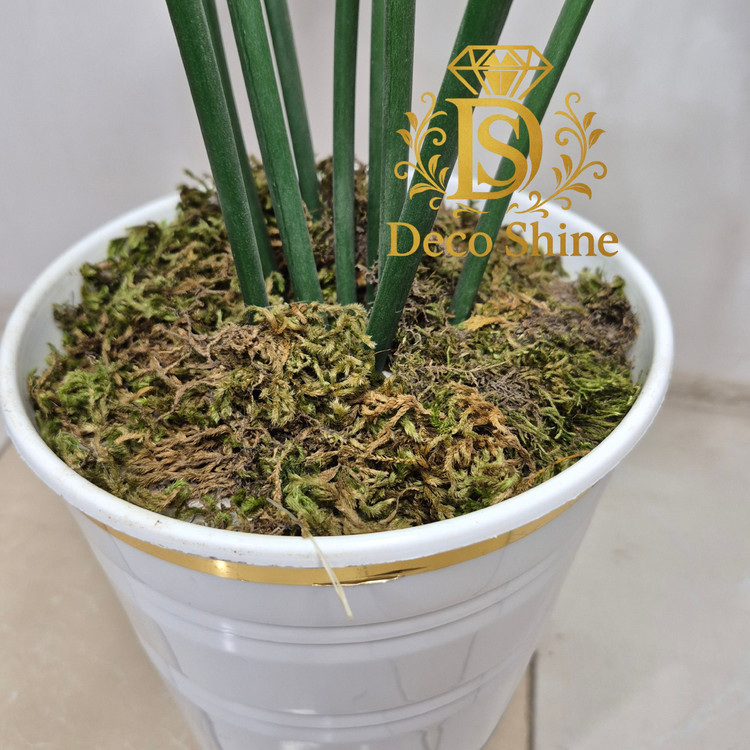 درختچه بابا آدم مصنوعی (1 متر) گلدان مقاوم دکوری